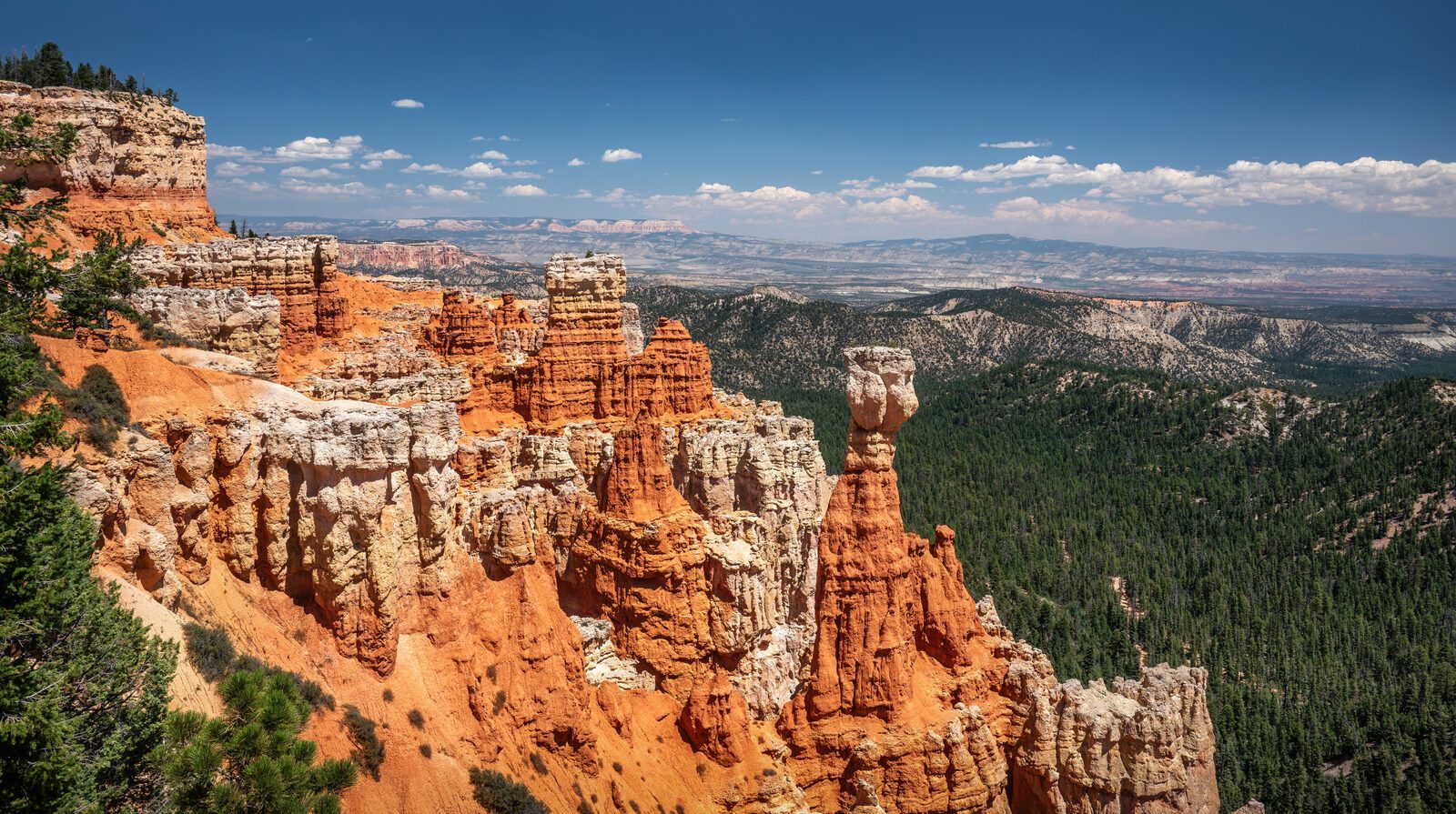 Bryce Canyon hoodoos